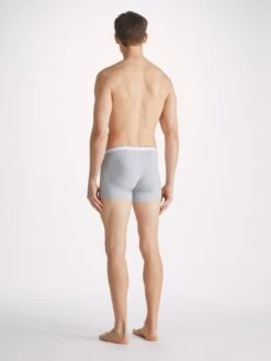 Men's Boxer Briefs Ethan Micro Modal Stretch Silver -Derek Rose Shop mens boxer briefs ethan micro modal stretch silver back
