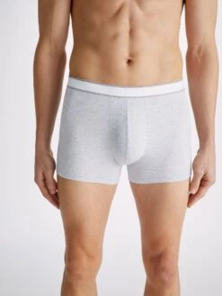 Men's Boxer Briefs Ethan Micro Modal Stretch Silver -Derek Rose Shop mens boxer briefs ethan micro modal stretch silver crop