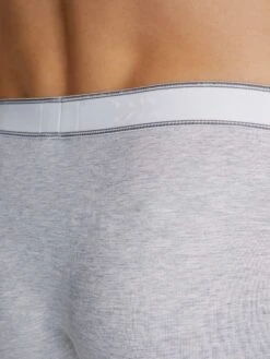 Men's Boxer Briefs Ethan Micro Modal Stretch Silver -Derek Rose Shop mens boxer briefs ethan micro modal stretch silver logo