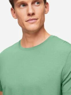 Men's T-Shirt Basel Micro Modal Stretch Sage Green -Derek Rose Shop mens t shirt basel micro modal stretch sage green close up collar