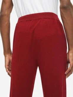 Men's Track Pants Finley Cashmere Deep Red -Derek Rose Shop mens track pants finley 10 cashmere red back close up