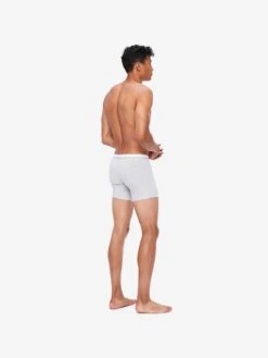 Men's Trunks Ethan Micro Modal Stretch Silver 11 Men's Trunks Ethan Micro Modal Stretch Silver -Derek Rose Shop mens trunks ethan micro modal stretch silver back