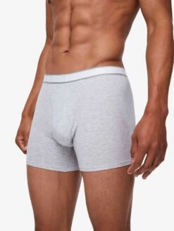 Men's Trunks Ethan Micro Modal Stretch Silver